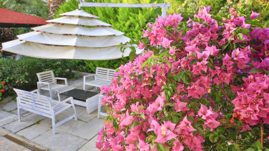 Costa Bodrum City Hotel havuz barı